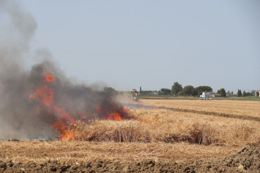 RAVENNA 26/06/22. INCENDIO CAMPO DI GRANO A SANTO STEFANO SU VIA BEVETA